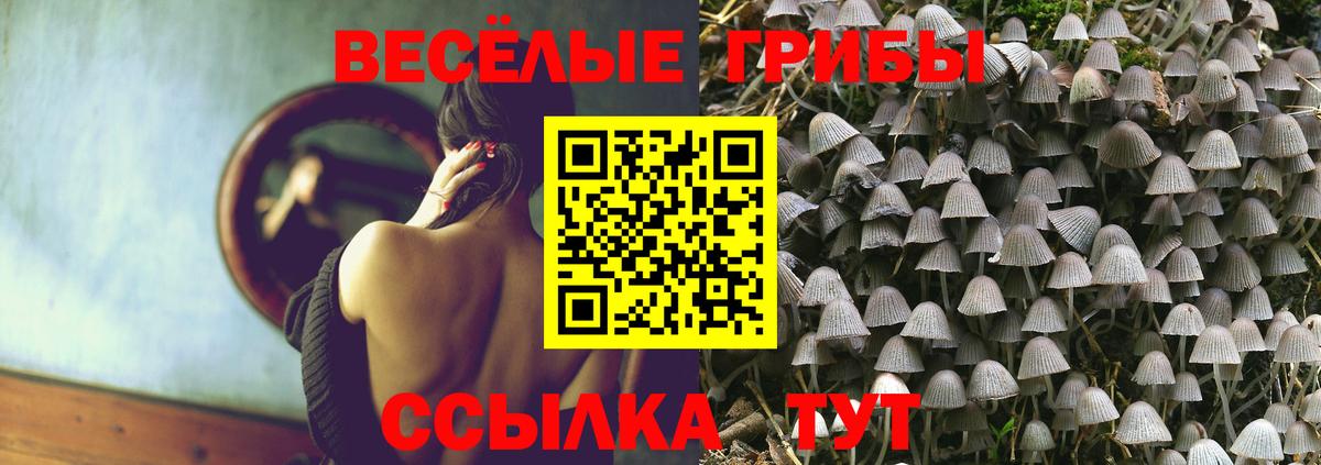 Казань  Галлюциногенные грибы Psilocybe  Галлюциногенные грибы мицелий  Вход с VPN 